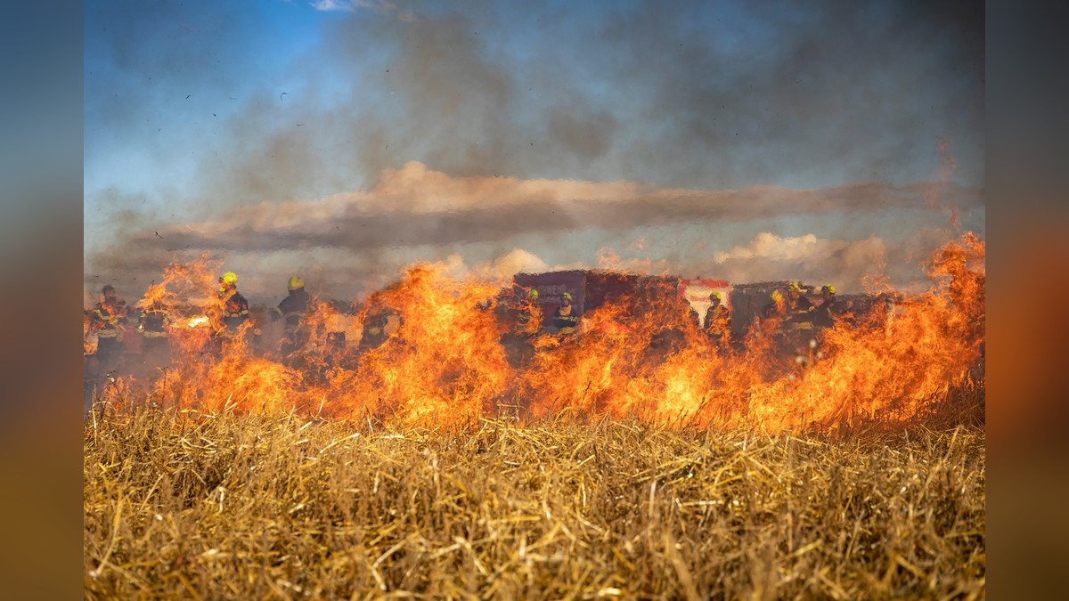 Tunisia battles 900 fires amid scorching heatwave